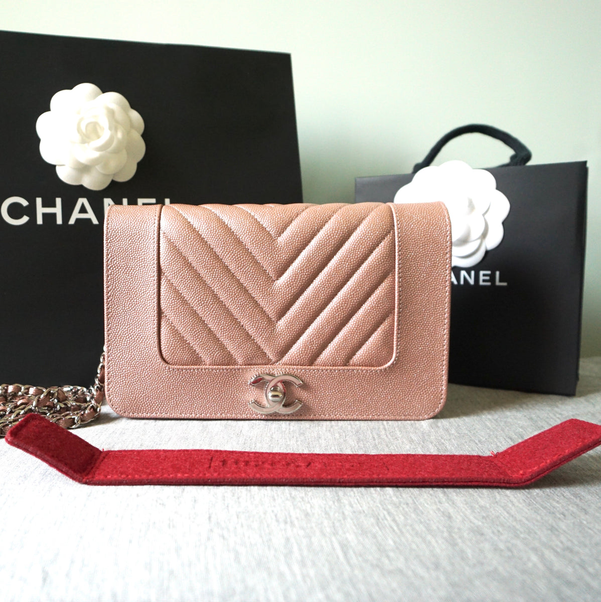 CHANEL WALLET ON CHAIN REVIEW - What fits, mod shots, first impression,  worth it?