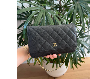 Best leather conditioner discount for chanel caviar
